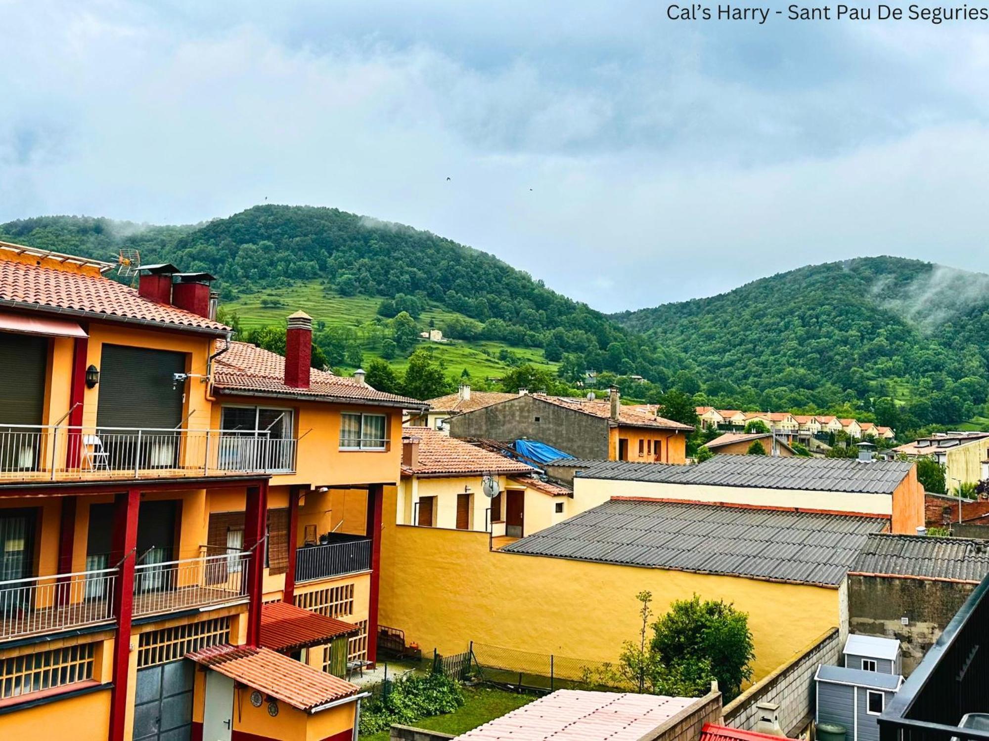 Cal Harrys - La Mejor Casa De Vacaciones En Pyrenees Con Vistas A La Montana Sant Pau de Seguries Εξωτερικό φωτογραφία